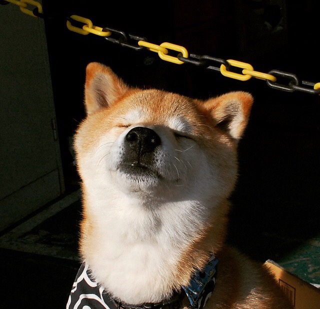 【丁俊晖】专注每一杆,讲述年轻运动员的赛场心路,丁俊晖经历介绍