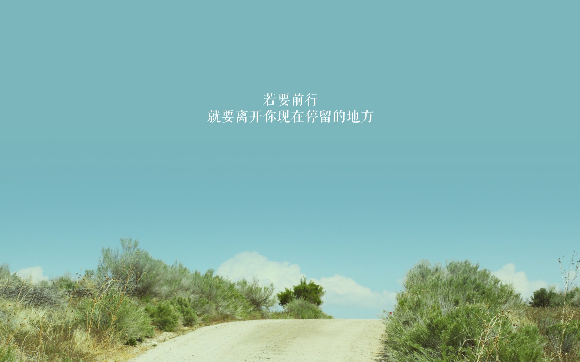 九游下载中心-WRC新技术亮相：智能辅助带来新体验，wrc软件