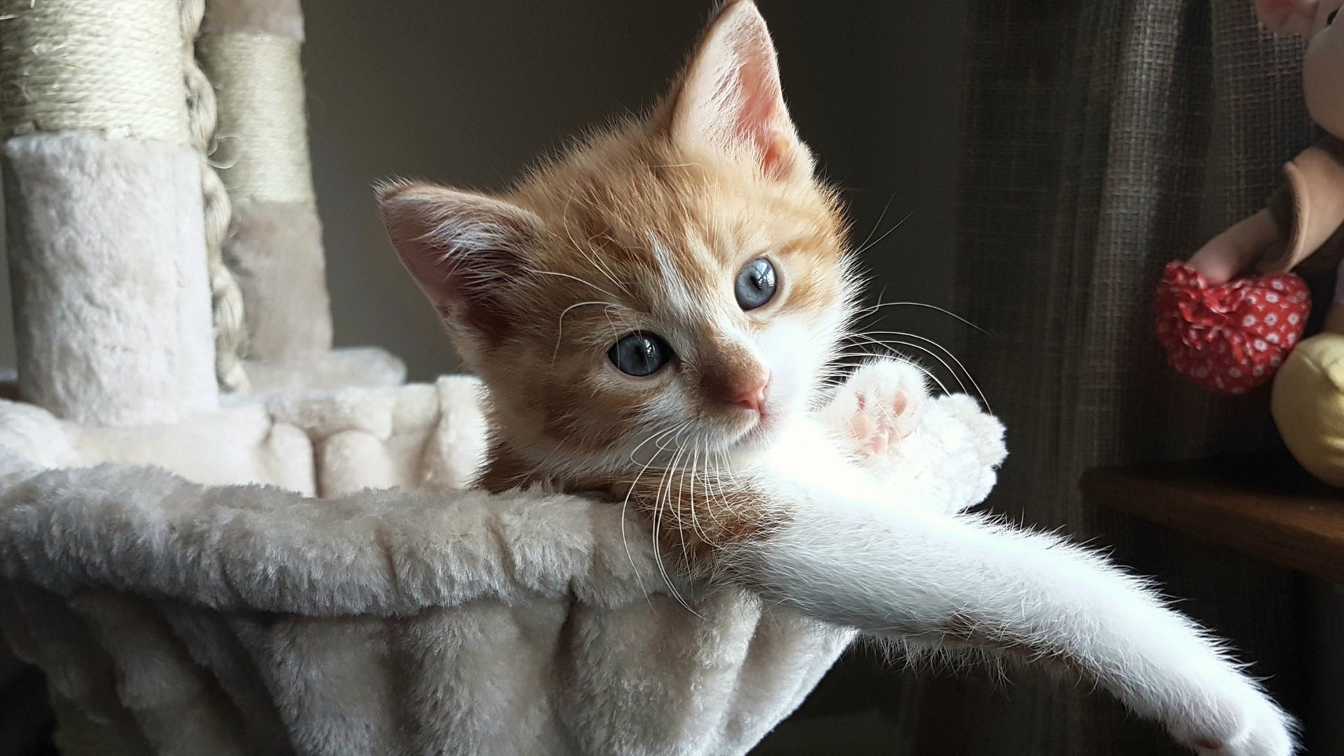 九游官网首页-【攻防大战】投手防线与打线火力正面对决，投手防御率